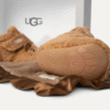 Bixbee e Lovey Bear di peluche