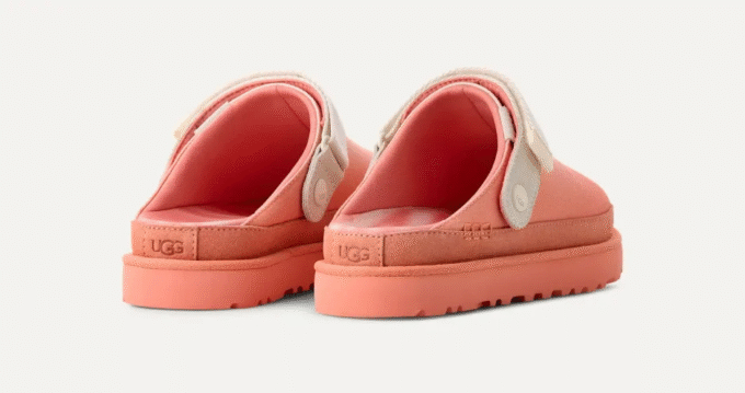 Goldenstar Clog Sunray