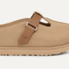 Goldenstar Hi Clog