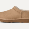 Micro classico
